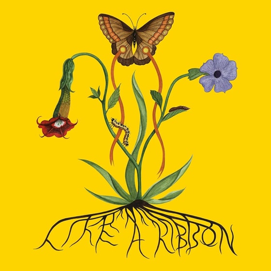 Like A Ribbon (LP) image 0