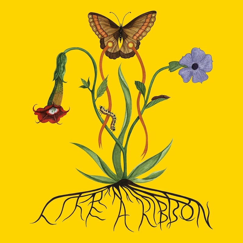Like A Ribbon (LP)