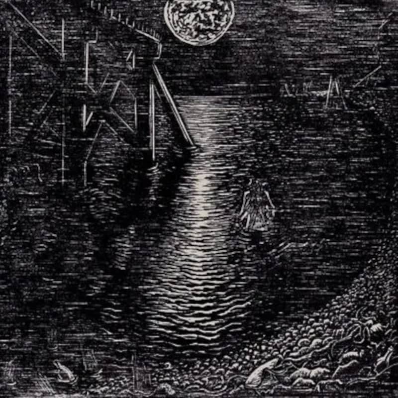 The Water Is The Shovel Of The (2LP)