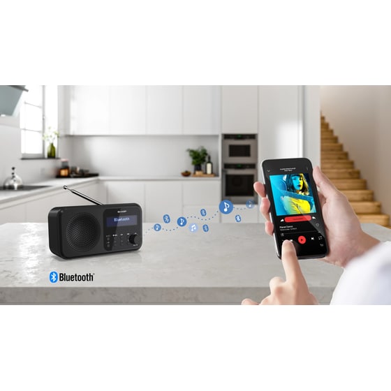 Φορητό ραδιόφωνο Sharp Tokyo DR-P420-Black image 11