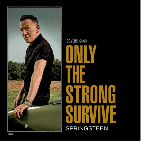 Only The Strong Survive image 0