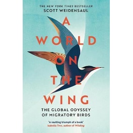 World on the Wing