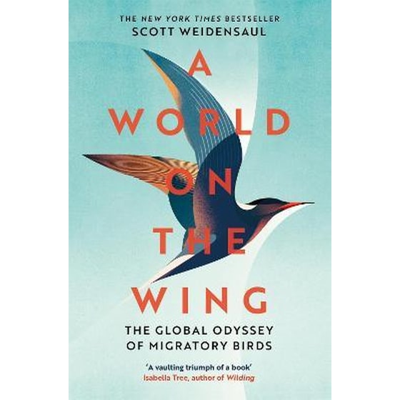 World on the Wing image 0
