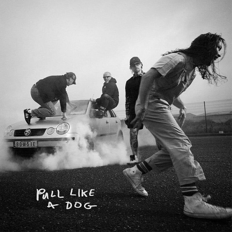 Pull Like A Dog (LP Coloured)