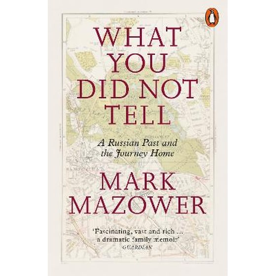 What You Did Not Tell image 0