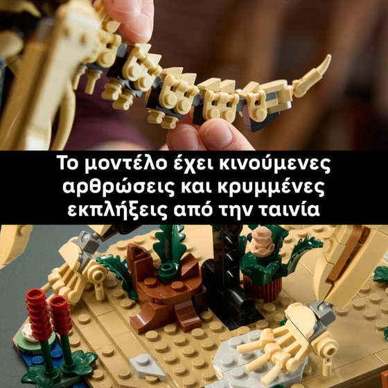 LEGO® Jurassic World Απολιθώματα Δεινοσαύρων: Τρικεράτοπας (77985) image 7