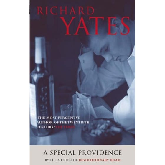 A Special Providence image 0