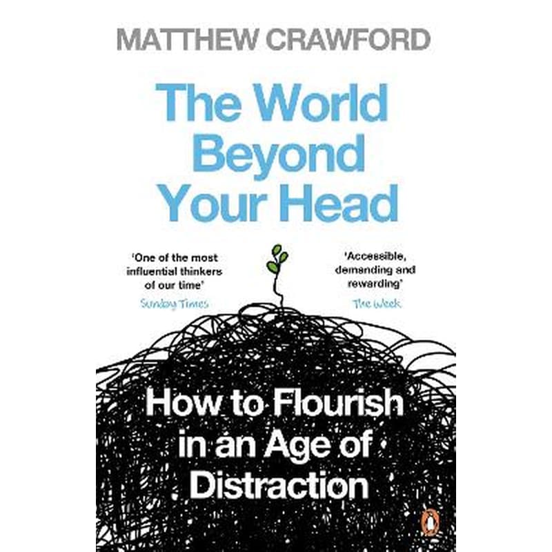 The World Beyond Your Head