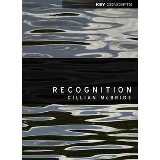 Recognition image 0