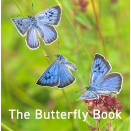 Nature Book Series: The Butterfly Book