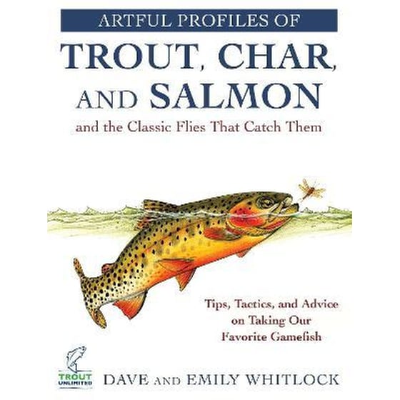 Artful Profiles of Trout, Char, and Salmon and the Classic Flies That Catch Them : Tips, Tactics, and Advice on Taking Our Favorite Gamefish image 0