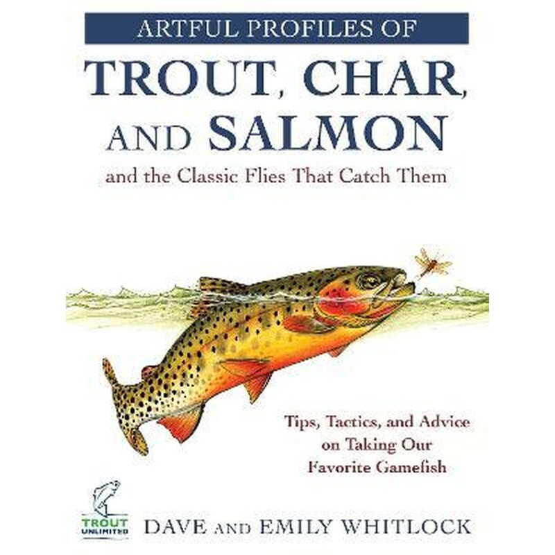 Artful Profiles of Trout, Char, and Salmon and the Classic Flies That Catch Them : Tips, Tactics, and Advice on Taking Our Favorite Gamefish