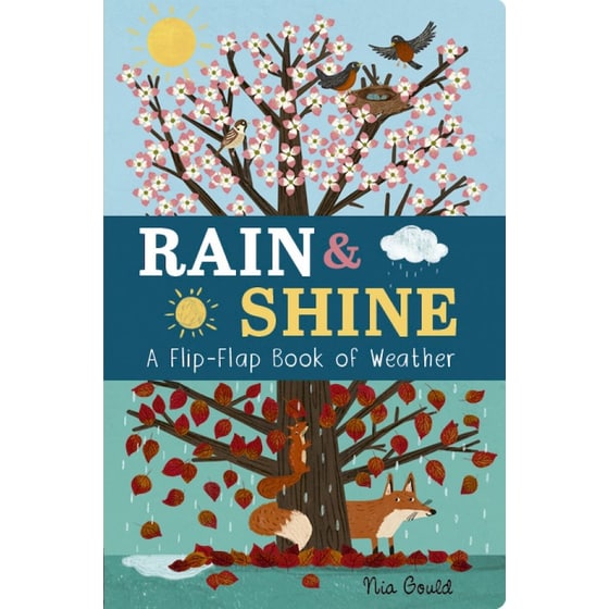 Rain & Shine: A Flip-Flap Book of Weather image 0