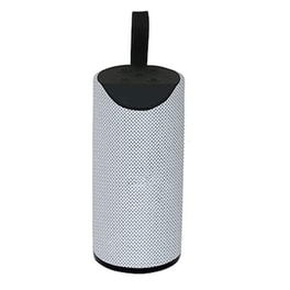 T&G Tg-113 Φορητό Ηχείο 10 W - Γκρι