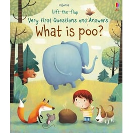 Lift-The-Flap Very First Questions & Answers