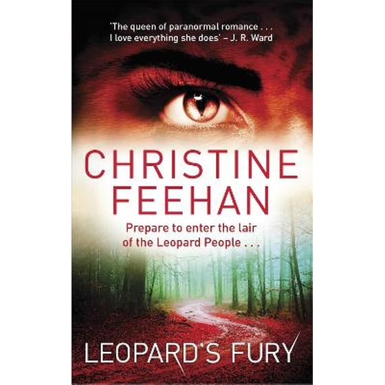 Leopard's Fury image 0