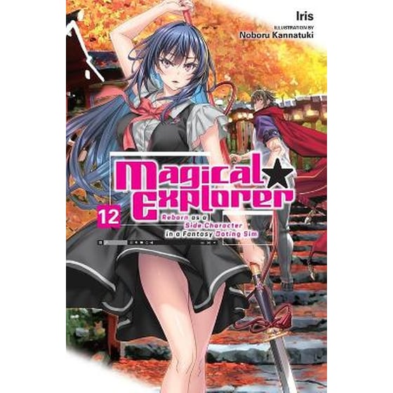 Magical Explorer, Vol. 12 (light novel) image 0