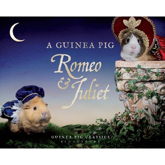 A Guinea Pig Romeo & Juliet image 0