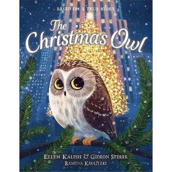 The Christmas Owl image 0