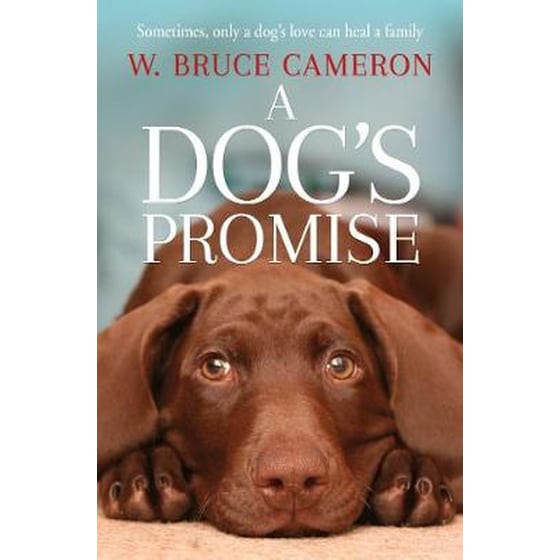 A Dog's Promise image 0