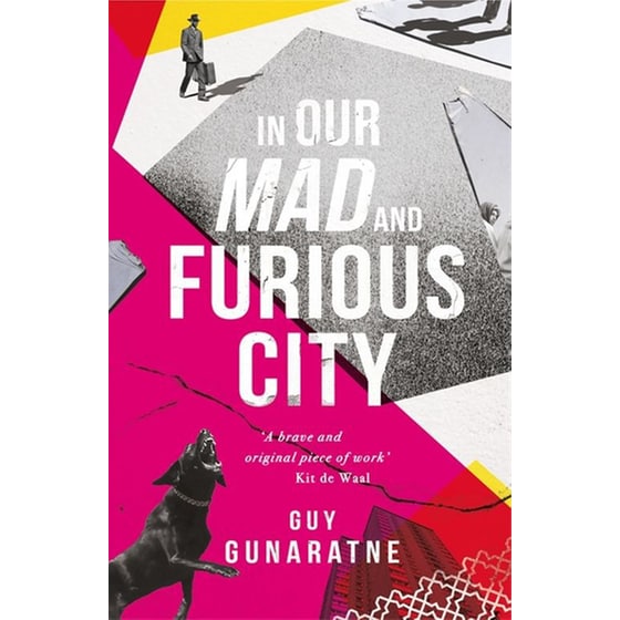 In Our Mad and Furious City image 0