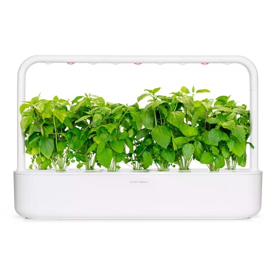 Κάψουλες Click and Grow 3 Τμχ - Βασιλικός Κανέλας image 2