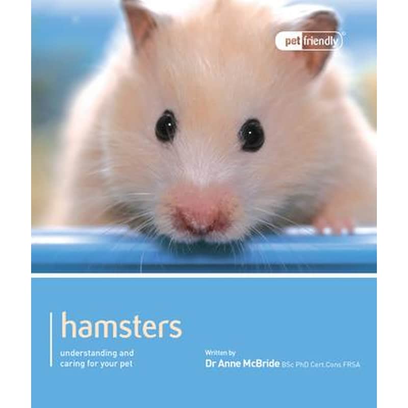 Hamster - Pet Friendly