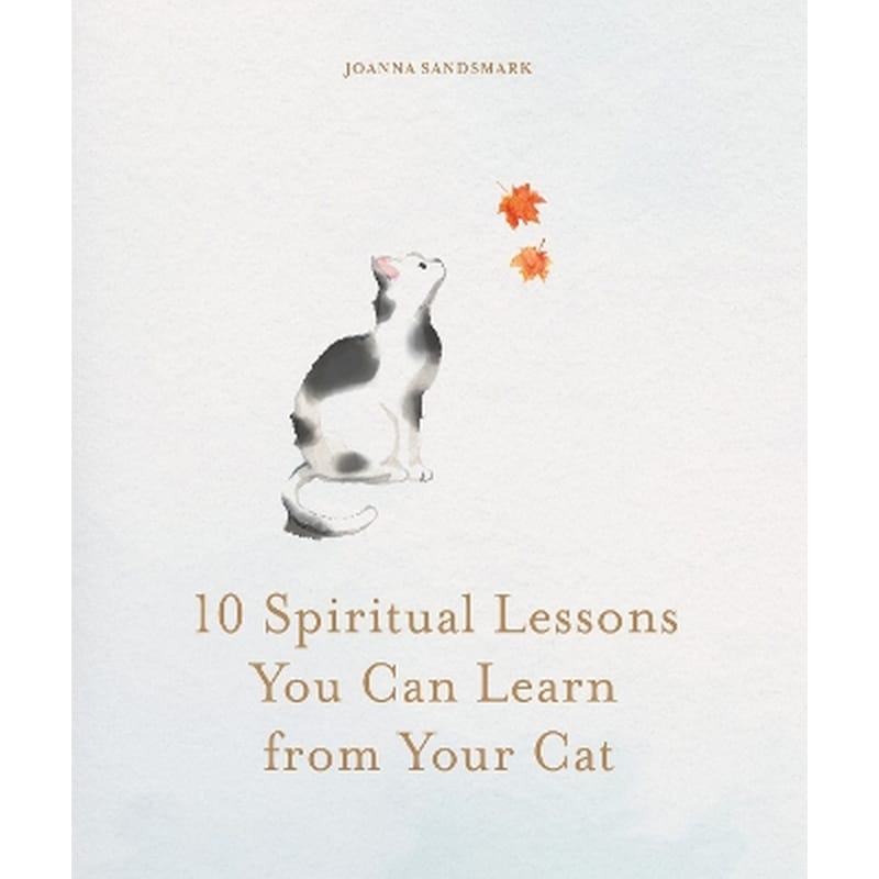 10 Spiritual Lessons You Can Learn from Your Cat