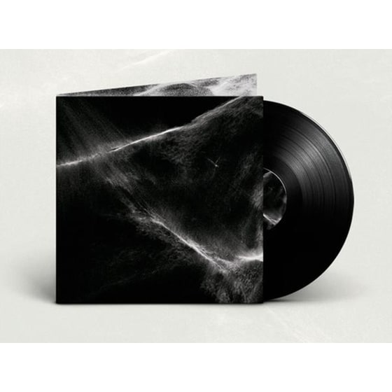 Final Light (Black Vinyl) image 1