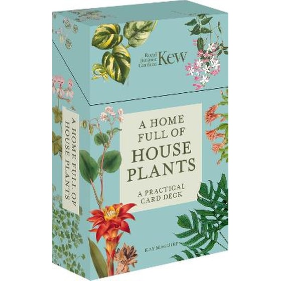 A Home Full of House Plants image 0
