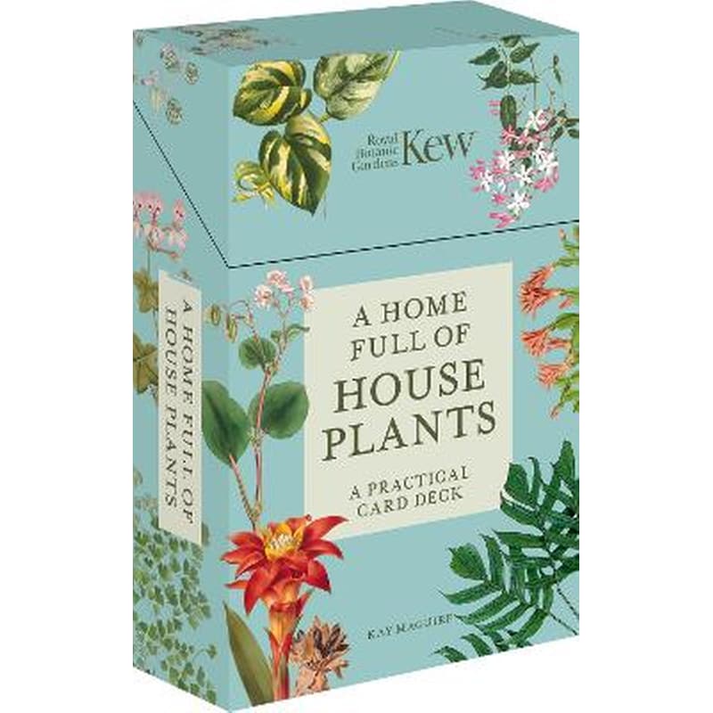 A Home Full of House Plants