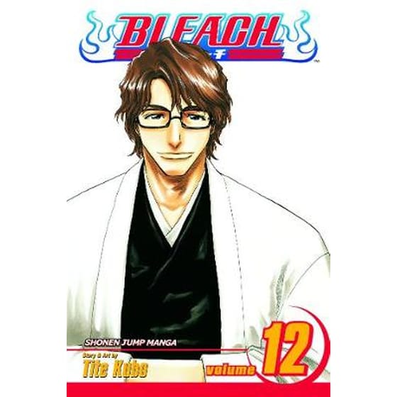 Bleach, Vol. 12 image 0