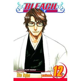 Bleach, Vol. 12