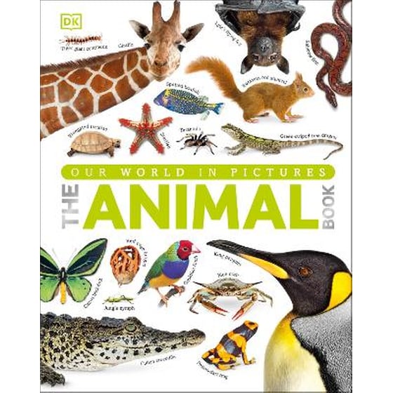 Our World in Pictures The Animal Book image 0