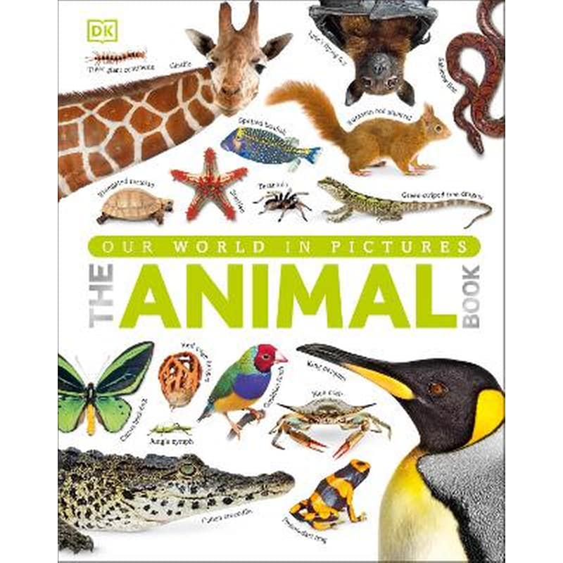 Our World in Pictures The Animal Book 0754719