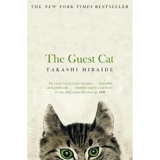The Guest Cat image 0