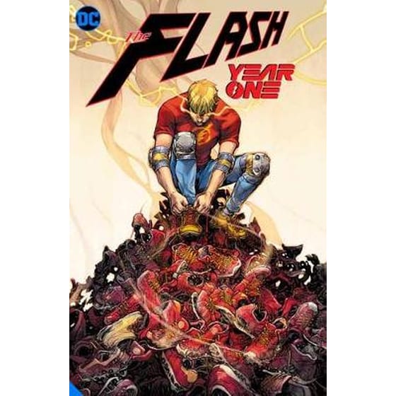 Flash: Year One image 0