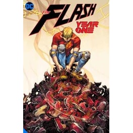 Flash: Year One