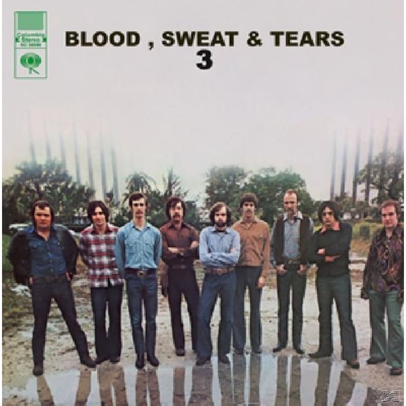 Blood, Sweat Tears 3