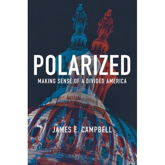 Polarized image 0