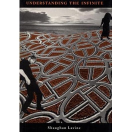Understanding the Infinite