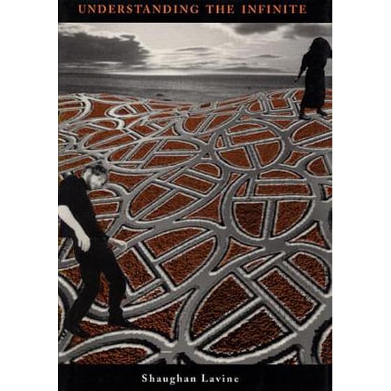Understanding the Infinite image 0