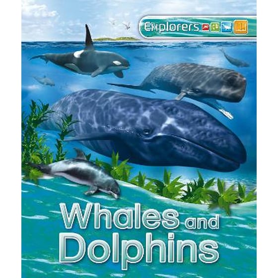 Explorers: Whales and Dolphins image 0