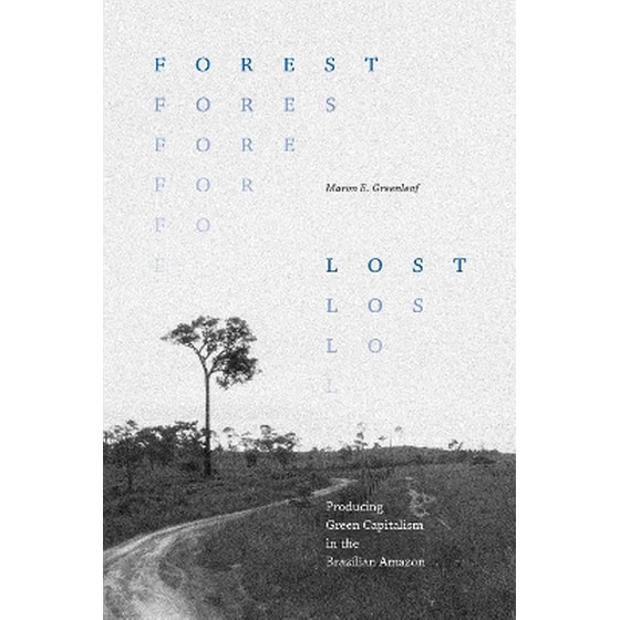 Forest Lost image 0