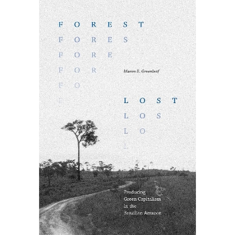 Forest Lost
