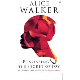 Possessing The Secret Of Joy