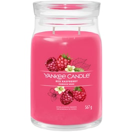 Κερί Yankee Candle Red Raspberry 9.3x15.7cm - Ροζ
