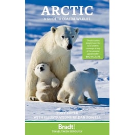 Arctic