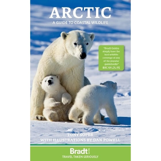Arctic image 0
