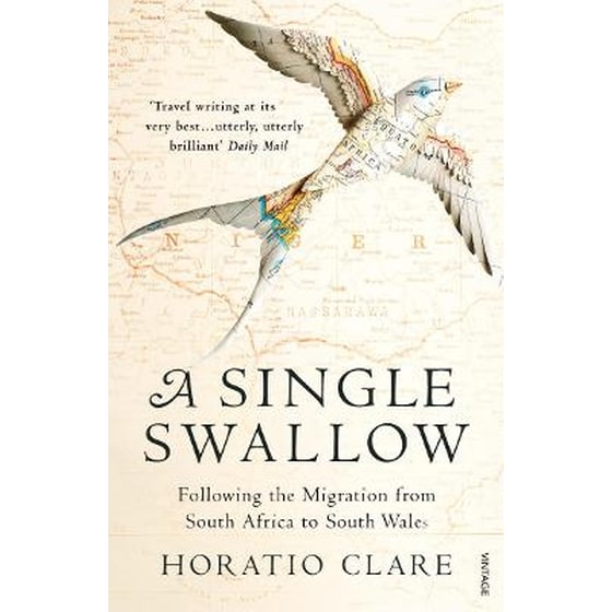 A Single Swallow image 0